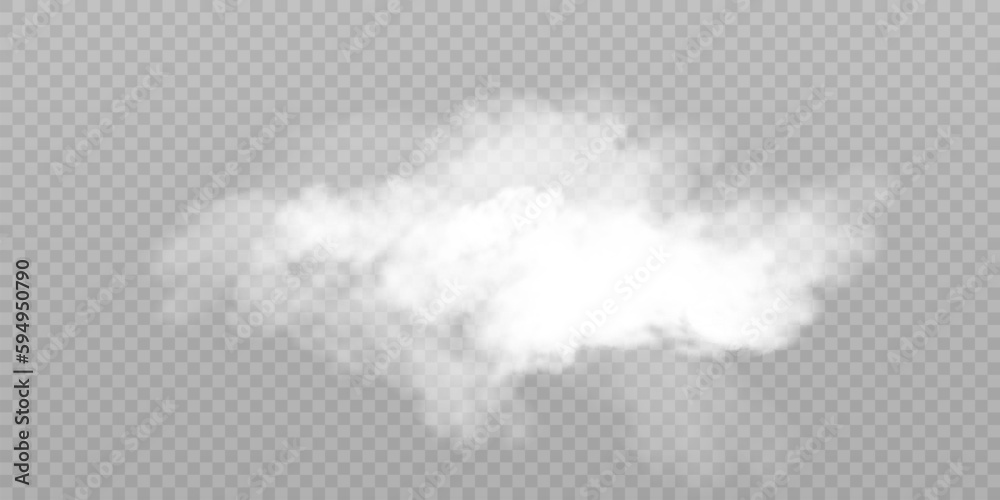 Poster translucent smoke isolated on a transparent background. steam effect special effect. vector texture 