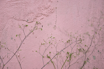 The old pink wall was peeled off. Vintage background concept for design.