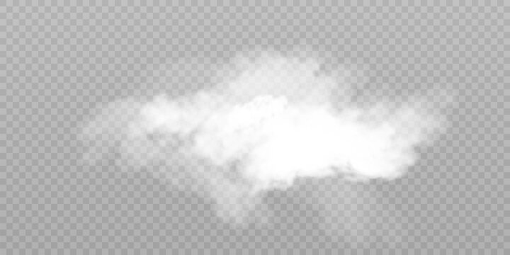 Translucent smoke isolated on a transparent background. Steam effect special effect. Vector texture of steam, fog, cloud, smoke.	
