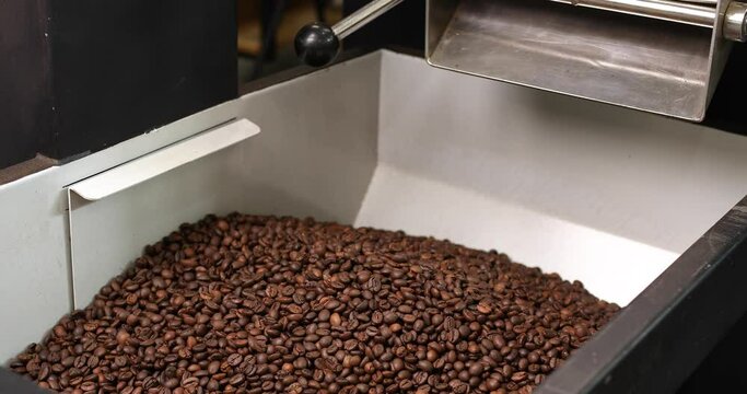 Coffee beans are poured into a modern roasting machine. The coffee is roasted using high technology in a production. Lots of coffee in the vat. A man's hand in a black glove turns on the lever.
