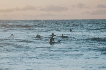 Surfers on the beach, surfing themed photograph