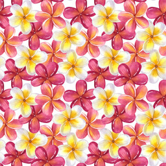 Obraz premium Seamless pattern Frangipani plumeria yellow pink flowers. Jungle tropical exotic foliage. Hand-drawn watercolor illustration isolated on white background. For textiles, packaging, prints
