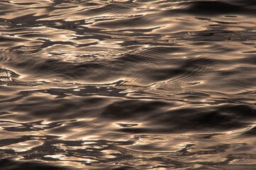 太陽の光を滑らかに反射する水面の波