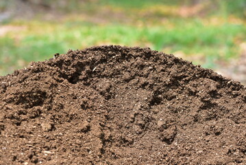 Black land for plant background. Top view. 