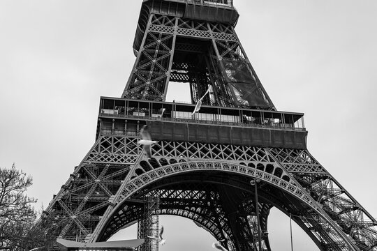 Iconic Eiffel Tower in Paris, France, in black and white