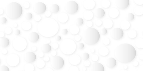 White and grey abstract modern transparency circle presentation background. Light circles template design. Object web design. Round shape.