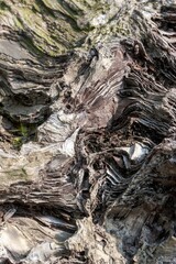 the eroded rocks on the side of the cliff have moss growing around it