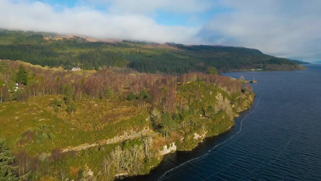 Drone view over a forested lake coast during daytime