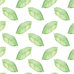 Pattern of watercolor green leaves elements.Botanical pattern solated on white background suitable for Wedding Invitation, save the date, thank you, or greeting card.