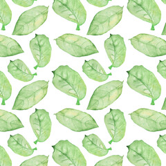 Pattern of watercolor green leaves elements.Botanical pattern solated on white background suitable for Wedding Invitation, save the date, thank you, or greeting card.