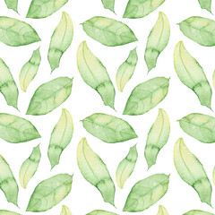 Pattern of watercolor green leaves elements.Botanical pattern solated on white background suitable for Wedding Invitation, save the date, thank you, or greeting card.
