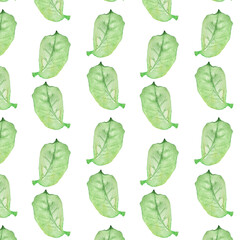 Pattern of watercolor green leaves elements.Botanical pattern solated on white background suitable for Wedding Invitation, save the date, thank you, or greeting card.