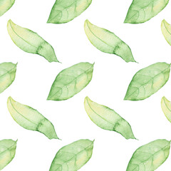 Pattern of watercolor green leaves elements.Botanical pattern solated on white background suitable for Wedding Invitation, save the date, thank you, or greeting card.