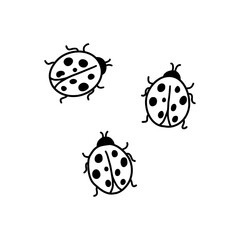 Seamless ladybug outline illustration. Hand drawn vector illustration. Abstract shapes and doodles. Modern graphic design.