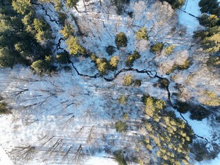 Aerial view of deciduous trees blanketed in fresh snow.
