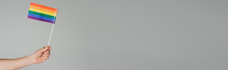 Fototapeta premium Cropped view of homosexual man holding lgbt flag isolated on grey, banner.