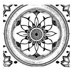 illustration of a flower