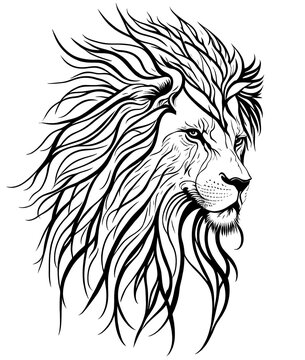 coloring book, beautiful lion with a lush mane, king of beasts