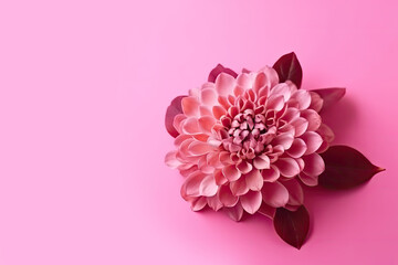 Obraz premium Background of rose flower on a pink background. Top view copy space. Ai generative