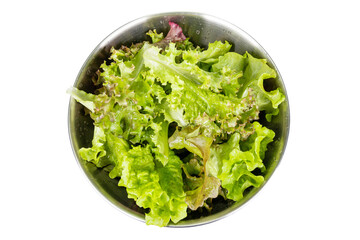 Red lettuce in a stainless bowl. clean lettuce