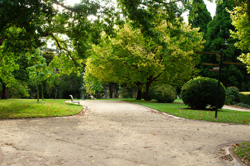 path in the park with bench
