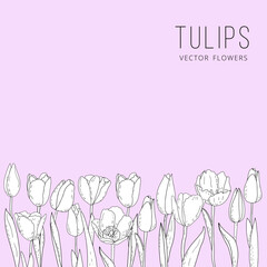 Hand-drawn vector graphic tulips, silhouettes of summer flowers, postcard with a linear bouquet of spring tulips, grasses, herbs and leaves, floral border 