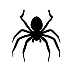 spider isolated