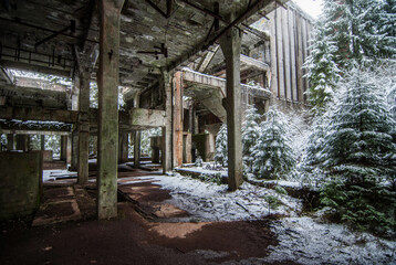 abandon complex vs. nature