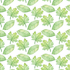 Pattern of watercolor green leaves elements.Botanical pattern solated on white background suitable for Wedding Invitation, save the date, thank you, or greeting card.