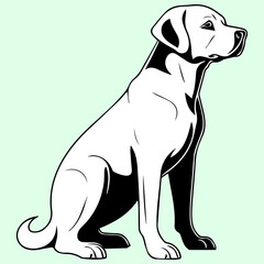 Labrador Retriever in vector