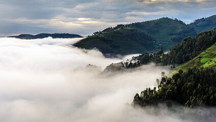 Morgennebel in den Bergen am Bunyonyi See, Distrikt Kabale, Uganda, Afrika