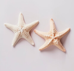 Fototapeta na wymiar White starfish isolated