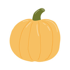 Pumpkin hand drawn illustration. Cartoon style flat design, isolated vector. Summer, autumn print element, farming, gardening, harvest, agriculture, healthy food, vegetarian diet, seasonal ingredient
