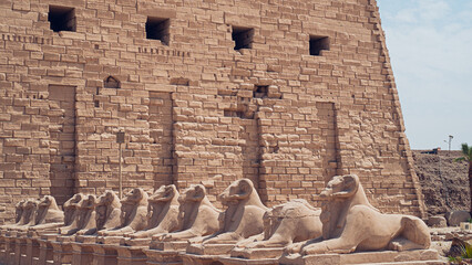 Row of sphinxes in Karnak Temple in Luxor, Egypt