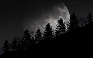 Fototapeta na wymiar nature landscape dark moon silhouette