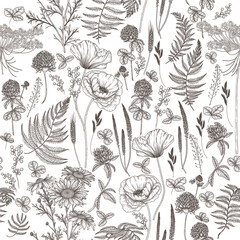 Seamless vector pattern wild flowers in engraving style. Poppy, chamomile, fern, clover - obrazy, fototapety, plakaty