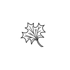 Simple illustration of maple leaf isolated on white, doodle style flat drawing for cards, sites, coloring books, web design, clothing prints