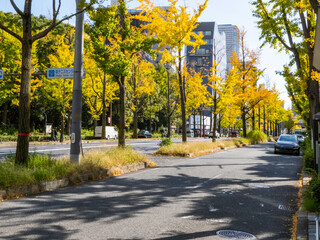 都会の紅葉