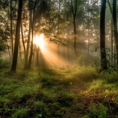 Obraz premium The Beauty of Nature