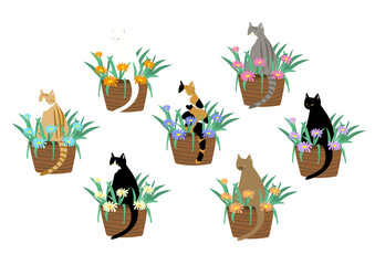 花の咲いているプランターにすわる猫　7匹の猫