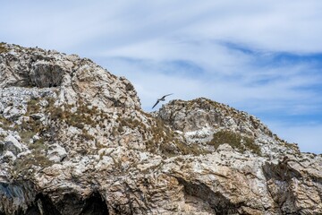 a seagull flying over some rocks in the water