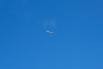 Low angle of a seagull flying majestically against a pristine blue cloudy sky
