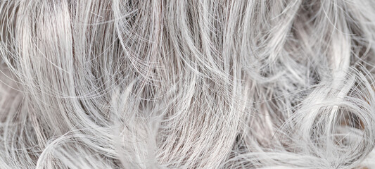 Close-up of ash blonde dyed hair, toned curls background