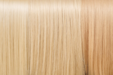 Close-up texture hair dyed sand blonde, toned straight samples background