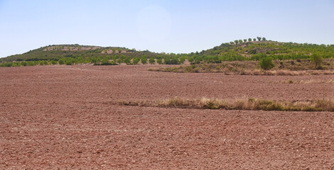 Agriculture in rural areas in Spain