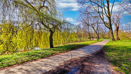 VIEW OF THE CITY PARK IN BEAUTIFUL SPRING WEATHER. EARLY SPRING IN THE CITY PARK.
