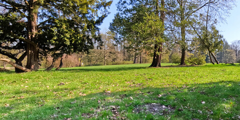 VIEW OF THE CITY PARK IN BEAUTIFUL SPRING WEATHER. EARLY SPRING IN THE CITY PARK.