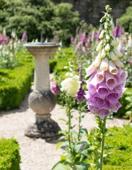 Vertical shot of colorful lady's gloves flowers growing in a garden on a sunny day