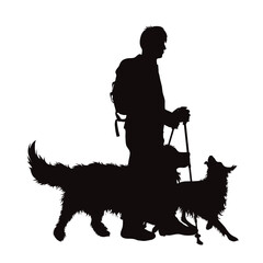 Vector silhouette of man with nordic walking sticks and with his happy dogs on white background.