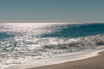 Camí de la Ronda Barcelona